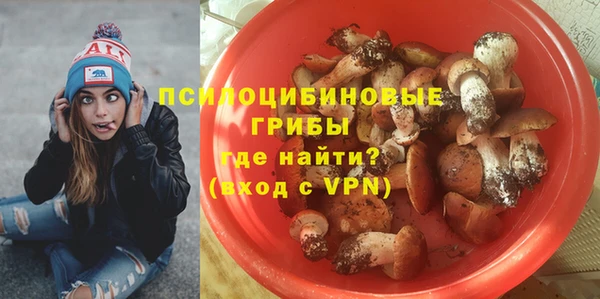 сатива Белоозёрский