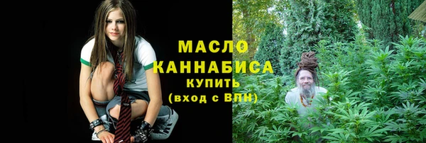 индика Михайловка