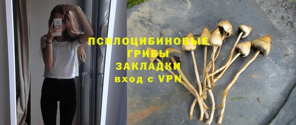 сатива Белоозёрский